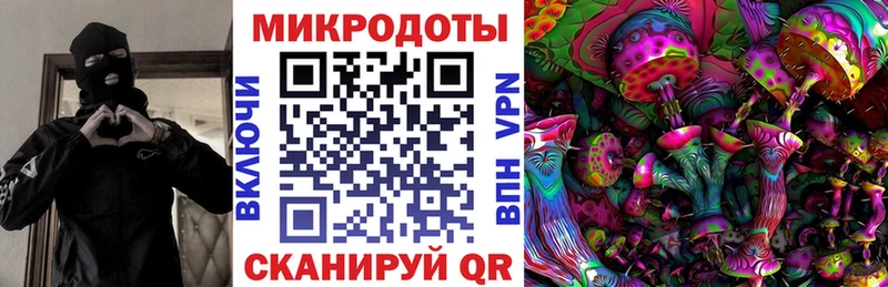 Псилоцибиновые грибы Cubensis  Кореновск 